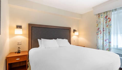 Suite ejecutiva, 1 cama de matrimonio grande, no fumadores, frigorífico y microondas (with Sofabed)