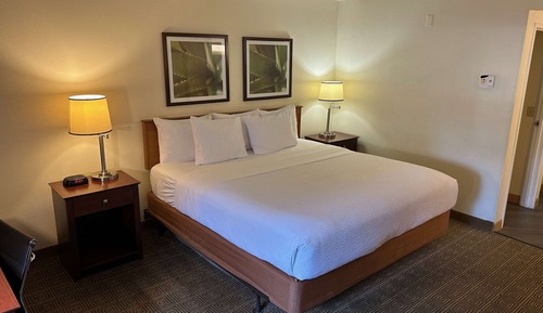 Habitación, 1 cama doble, accesible para personas con discapacidad (Mobility/Hearing Accessible)