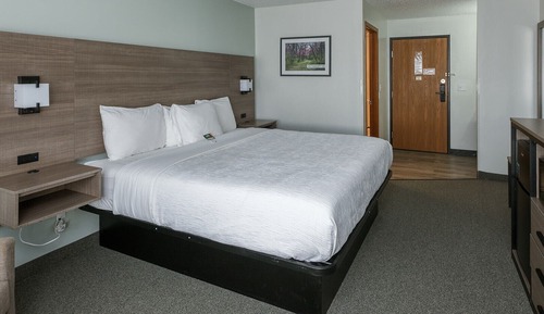 Habitación estándar, 1 cama de matrimonio grande