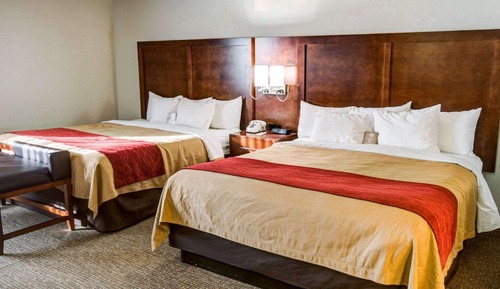 Habitación estándar, varias camas, no fumadores