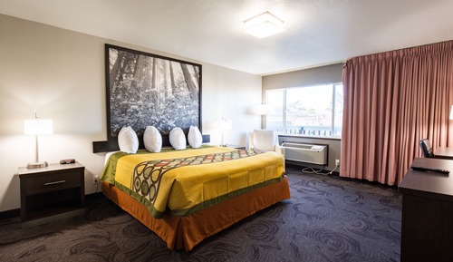 Habitación estándar, 1 cama de matrimonio grande