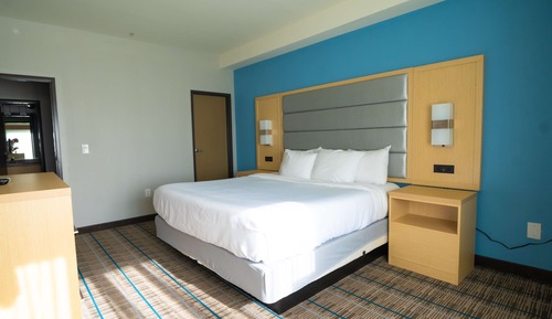 Suite, 1 cama de matrimonio grande, no fumadores, cocina (Presidential)