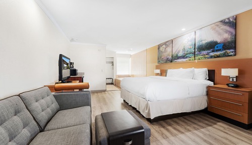 Suite estudio, 1 cama de matrimonio grande, no fumadores, vistas a la piscina