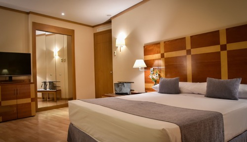 Habitación doble, 1 cama de matrimonio grande