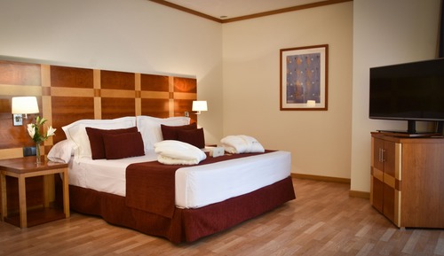 Habitación doble, 1 cama doble con sofá cama