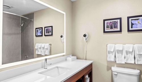 Suite, 1 cama de matrimonio, no fumadores
