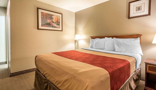 Habitación estándar, 1 cama de matrimonio, no fumadores