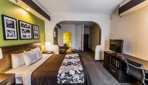 Suite, 1 cama de matrimonio grande con sofá cama, accesible para personas con discapacidad