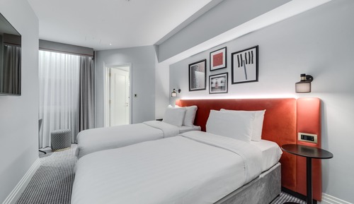Habitación ejecutiva, 2 camas individuales, no fumadores