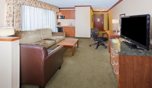 Suite, 1 cama de matrimonio grande (Living Area)
