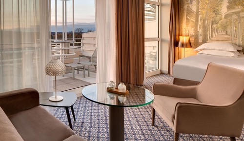 Habitación Deluxe, terraza, vistas al parque