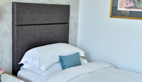 City View Room with Lounge Access Twin Beds