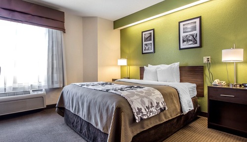 Habitación estándar, 1 cama de matrimonio, accesible para personas con discapacidad, no fumadores