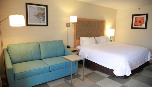 Habitación, 1 cama de matrimonio grande, accesible para personas con discapacidad (Hearing)