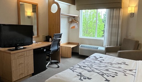 Habitación estándar, 1 cama de matrimonio grande, no fumadores