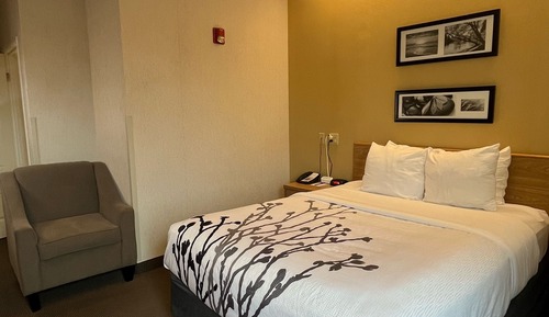 Habitación, 1 cama de matrimonio, accesible para personas con discapacidad, no fumadores