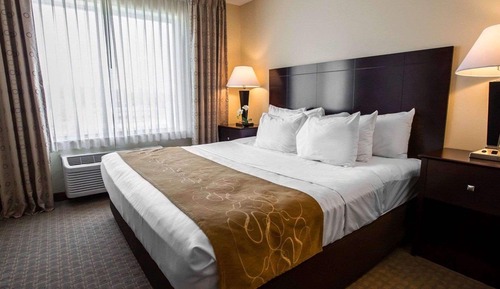 Suite, 1 cama de matrimonio grande con sofá cama, no fumadores (Pet Friendly)
