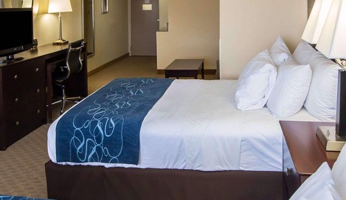 Suite, 2 camas dobles, no fumadores (Pet Friendly)