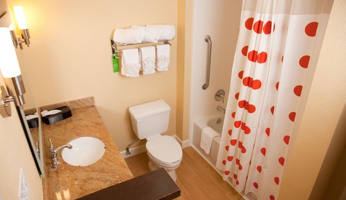 Suite, 1 habitación (Mobility/Hearing Access, Roll-In Shwr)
