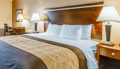 Habitación estándar, 1 cama de matrimonio grande, no fumadores