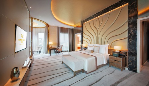 Suite presidencial, 2 baños, planta ejecutiva (Suite)