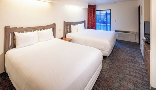 Suite estándar, varias camas (Studio Room (No Pets))