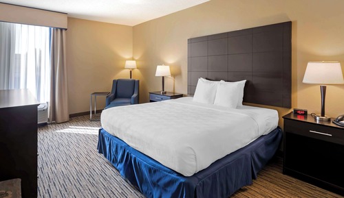 Habitación estándar, 1 cama de matrimonio grande, no fumadores, frigorífico y microondas