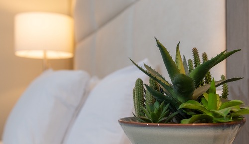 Habitación económica, 1 cama de matrimonio grande, accesible para personas con discapacidad