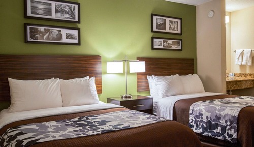 Habitación estándar doble, 2 camas dobles, no fumadores