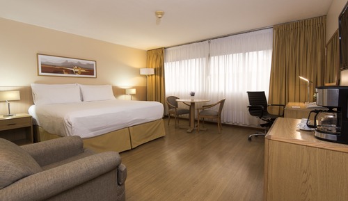Habitación estándar, 1 cama de matrimonio grande