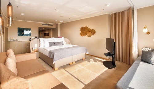 Suite presidencial, 1 cama de matrimonio grande, terraza, vistas a la ciudad