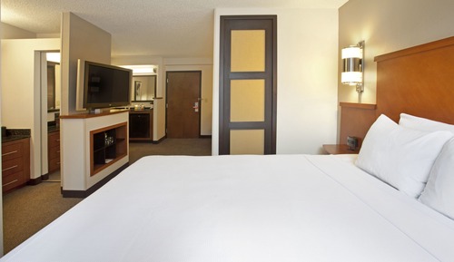 Habitación, 1 cama de matrimonio grande (High Floor)