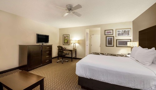 Suite estudio Deluxe, 1 cama de matrimonio grande, no fumadores