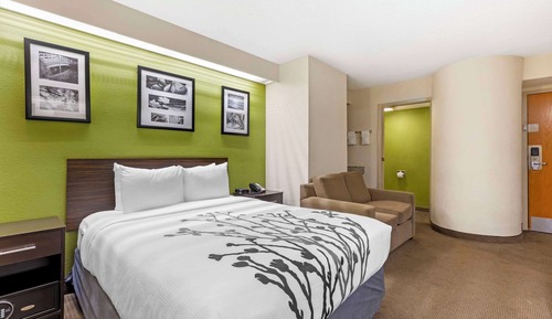 Habitación estándar, 1 cama de matrimonio, no fumadores