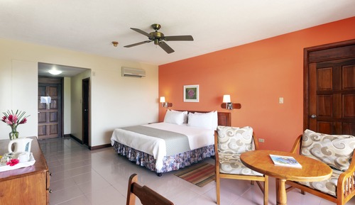 Habitación Deluxe, 1 cama de matrimonio grande, vistas al jardín