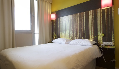 Habitación estándar, 1 cama doble