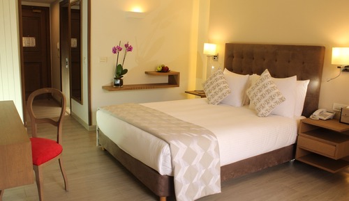Habitación Premium, 1 cama de matrimonio