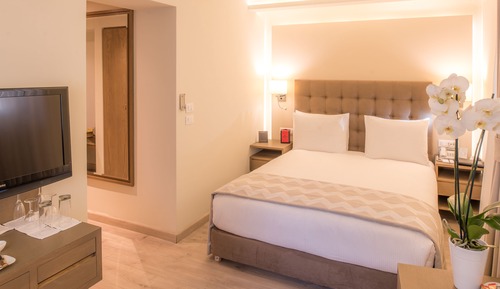 Habitación clásica, 1 cama de matrimonio
