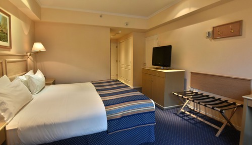 Habitación estándar, 1 cama de matrimonio grande