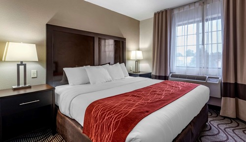 Suite, 1 cama de matrimonio grande