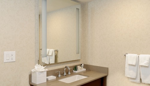 Habitación, 1 cama de matrimonio grande, accesible para personas con discapacidad (Roll-In Shower)
