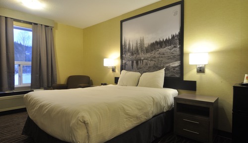 Suite, varias camas, no fumadores (One-Bedroom)