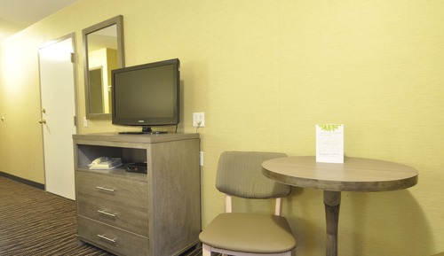 Room, Accessible, 1 Queen Bed, Fridge, Non Smoking (no pets)
