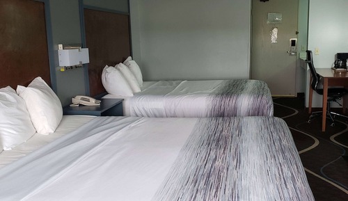 Habitación, no fumadores (2 King Beds)