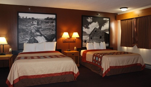 Suite estudio, varias camas, no fumadores (Not Pet Friendly)