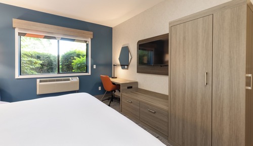 Habitación estándar, 1 cama de matrimonio grande