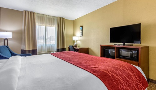 Habitación estándar, 1 cama de matrimonio grande, no fumadores