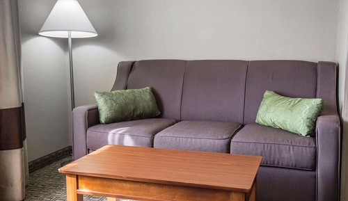 Habitación estándar, 1 cama de matrimonio grande con sofá cama