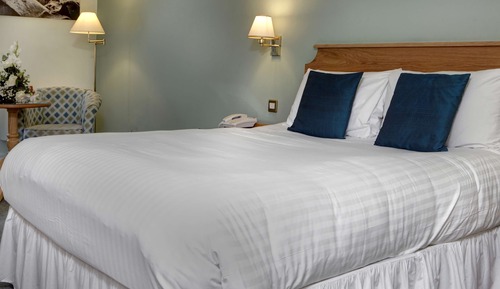 Habitación estándar, 1 cama doble, accesible para personas con discapacidad, no fumadores