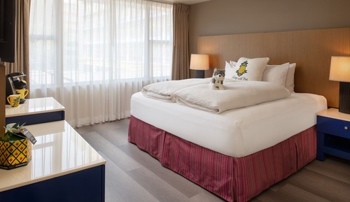 Suite, 1 cama de matrimonio grande